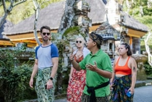 Bali: Hidden Canyon, Waterfall & Temples Small Group Tour