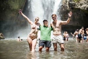 Bali: Hidden Canyon, Waterfall & Temples Small Group Tour