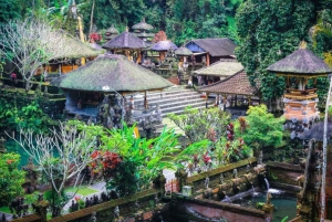 Bali : Visite privée des canyons, chutes d'eau et temples cachés