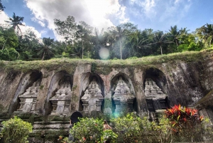 Bali: Skjult Canyoon, fossefall og tempel - privat omvisning