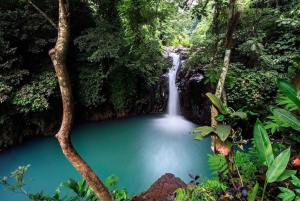 Bali : Visite privée des canyons, chutes d'eau et temples cachés
