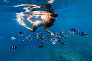 Bali: Gemme nascoste di Bali Est. Spiagge e cascate esotiche.