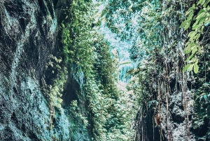 Bali Hidden Purification Journey: Canyon, Temple & Blessing