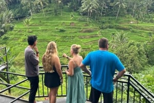 Bali: Hidden Ubud Temple, Rice Terrace & Jungle Swing