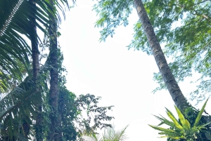 Bali: Hidden Ubud Temple, Rice Terrace & Jungle Swing