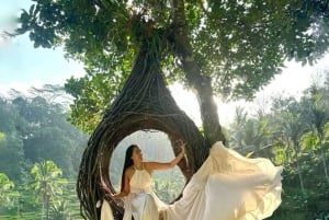 Bali: Hidden Ubud Temple, Rice Terrace & Jungle Swing