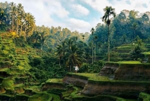 Bali: Hidden Ubud Temple, Rice Terrace & Jungle Swing