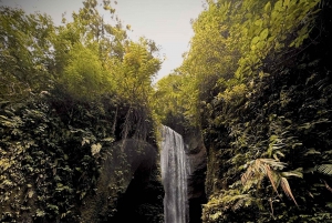 Bali: Skjult vandfald og Mt. Batur Sunset Jeep privat tur