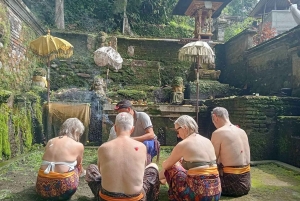 Bali: Hidden Waterfall Walk, Melukat Ritual & Local Family