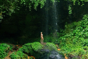 Bali : Hidden Waterfalls Tour (All Inclusive & Private)