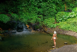 Bali : Hidden Waterfalls Tour (All Inclusive & Private)