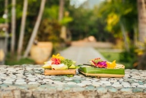 Bali: Skjult overraskelse, udforsk landsby, stort træ og kultur