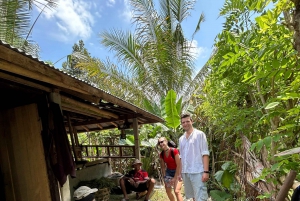 Bali: Skjult overraskelse, udforsk landsby, stort træ og kultur