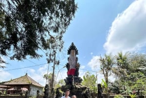 Bali: Skjult overraskelse, udforsk landsby, stort træ og kultur