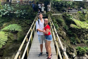 Bali: Skjult overraskelse, udforsk landsby, stort træ og kultur