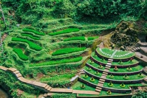 Бали: высокогорный отдых, искусство, вера и природные горячие источники