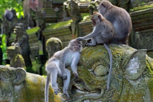 Bali: op maat gemaakte privétour van een hele dag met hoogtepunten