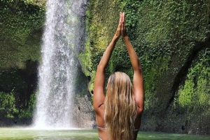 Bali: op maat gemaakte privétour van een hele dag met hoogtepunten