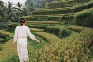 Bali: op maat gemaakte privétour van een hele dag met hoogtepunten