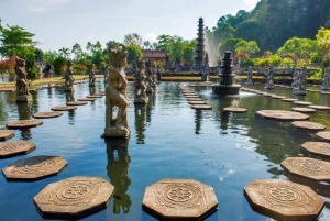 Bali: op maat gemaakte privétour van een hele dag met hoogtepunten