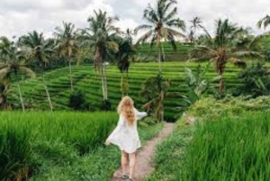 Bali: op maat gemaakte privétour van een hele dag met hoogtepunten