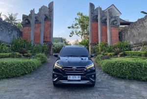 Bali: tour privato personalizzato di un giorno intero