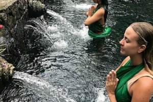 Bali: tour privato personalizzato di un giorno intero