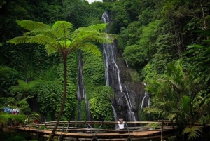 Bali: tour privato personalizzato di un giorno intero