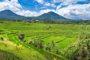 Bali: tour privato personalizzato di un giorno intero
