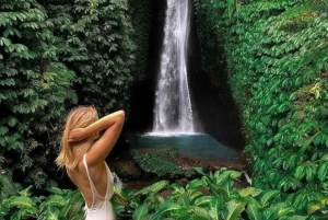 Bali: tour privato personalizzato di un giorno intero