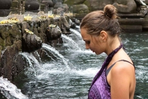 Bali: tour privato personalizzato di un giorno intero