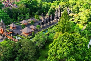 Bali: Höjdpunkter i norra Bali – heldagstur med hotelltransfer