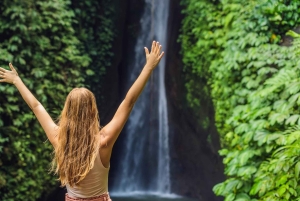 Bali: Höjdpunkter i norra Bali – heldagstur med hotelltransfer