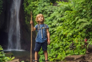 Bali: Höjdpunkter i norra Bali – heldagstur med hotelltransfer