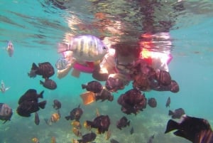 Błękitna Laguna i Tanjung Jepun Snorkeling Tour