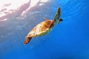 Błękitna Laguna i Tanjung Jepun Snorkeling Tour
