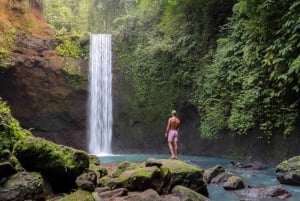 Bali : Visite privée des hauts lieux d'Ubud avec visite personnalisée