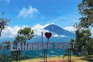 Bali: Auringonnousu- tai auringonlaskukierros Savana Tianyarilla
