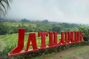 Bali: Lej privat bil med engelsktalende chauffør