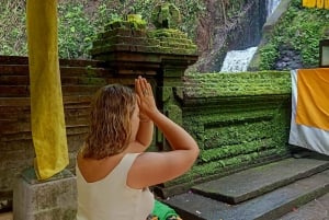Bali: Lej privat bil med engelsktalende chauffør