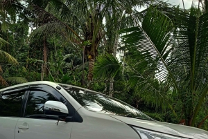 Bali: Alquiler de coches privados con conductor de habla inglesa