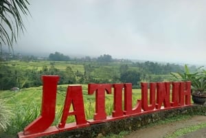 Bali: Alquiler de coches privados con conductor de habla inglesa