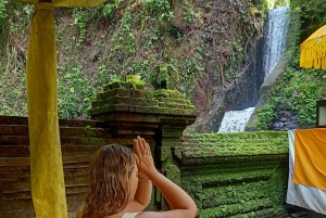 Bali: Alquiler de coches privados con conductor de habla inglesa