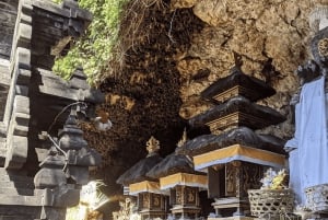 Bali: Historiske vægmalerier, eventyrhave og flagermushule-tempel