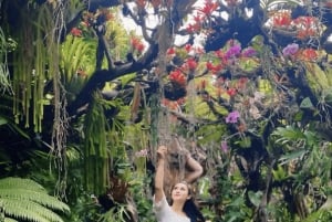 Bali: murais históricos, jardim das fadas e visita ao templo da gruta dos morcegos