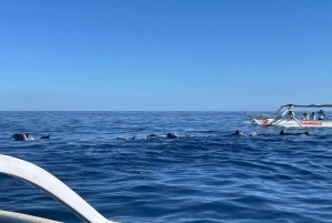 Pakiet dla nowożeńców na Bali 7D6N – romantyczna podróż