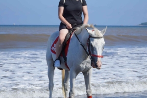 Bali: Experiencia a caballo en Sanur (1 hora de paseo)