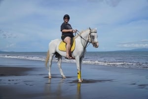 Bali: Experiencia a caballo en Sanur (1 hora de paseo)