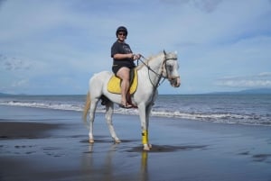 Bali: Experiencia a caballo en Sanur (1 hora de paseo)