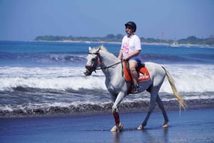 Bali: Experiencia a caballo en Sanur (1 hora de paseo)